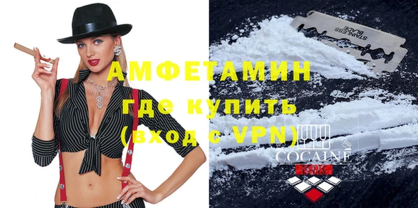 твердый Няндома